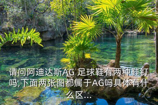 請(qǐng)問阿迪達(dá)斯AG 足球鞋有兩種鞋釘嗎,下面兩張圖都屬于AG嗎具體有什么區(qū)...