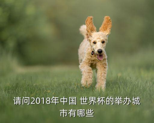 2018年足球世界杯共有多少只腿參加比賽