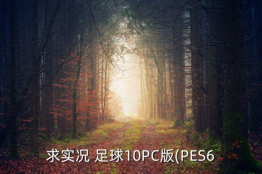 求實(shí)況 足球10PC版(PES6