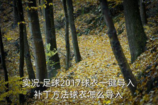  實況 足球2017球衣一鍵導(dǎo)入 補丁方法球衣怎么導(dǎo)入