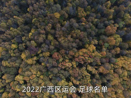 2022廣西區(qū)運(yùn)會(huì) 足球名單