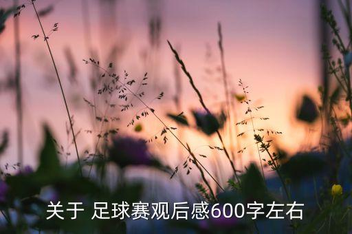 關(guān)于 足球賽觀后感600字左右