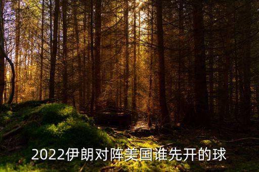 2022伊朗對陣美國誰先開的球