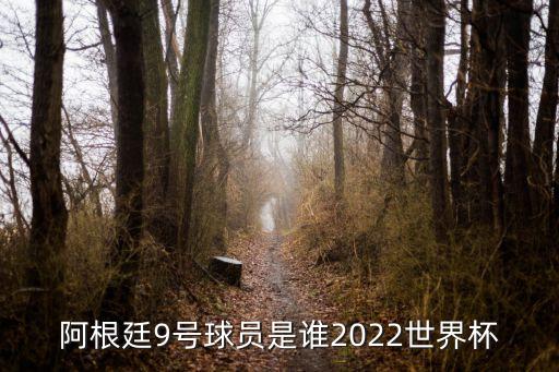 阿根廷9號(hào)球員是誰(shuí)2022世界杯