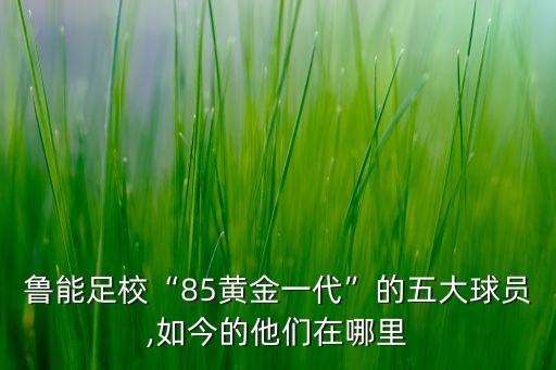 魯能足?！?5黃金一代”的五大球員,如今的他們在哪里