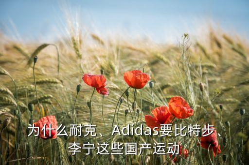 為什么耐克、Adidas要比特步、李寧這些國產(chǎn)運(yùn)動(dòng)