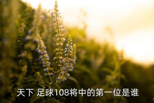 天下足球 卡西利亞斯,卡西利亞斯是哪個(gè)國家的足球運(yùn)動員