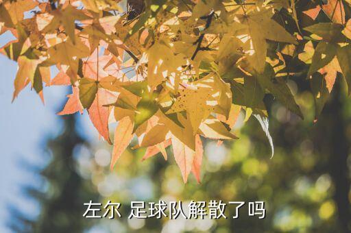 卓爾足球 武漢,武漢卓爾足球?qū)W校學(xué)費(fèi)