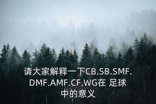 請大家解釋一下CB.SB.SMF.DMF.AMF.CF.WG在 足球中的意義