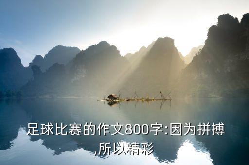  足球比賽的作文800字:因為拼搏,所以精彩