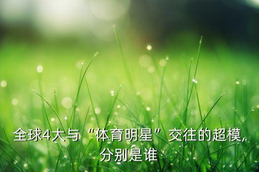 維密2013拿足球,有維密超模的足球小說(shuō)