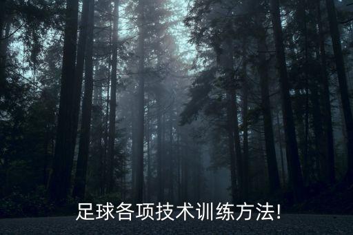 足球找面,足球多少個(gè)面怎么計(jì)算