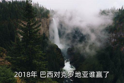 2018年 巴西對克羅地亞誰贏了