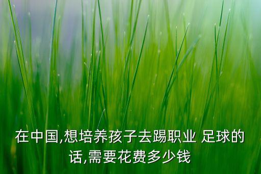 在中國,想培養(yǎng)孩子去踢職業(yè) 足球的話,需要花費(fèi)多少錢