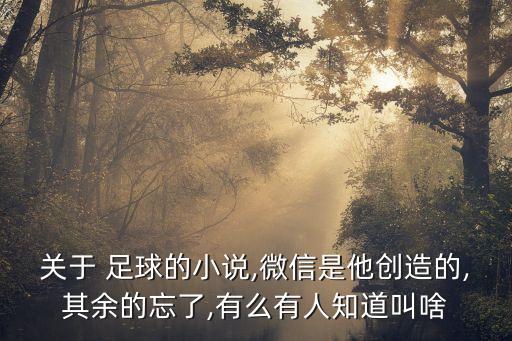 關(guān)于 足球的小說,微信是他創(chuàng)造的,其余的忘了,有么有人知道叫啥