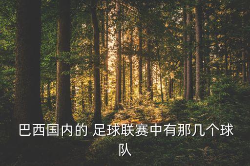  巴西國內(nèi)的 足球聯(lián)賽中有那幾個球隊