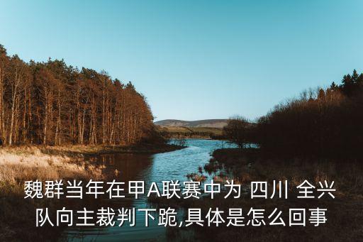 魏群當年在甲A聯(lián)賽中為 四川 全興隊向主裁判下跪,具體是怎么回事