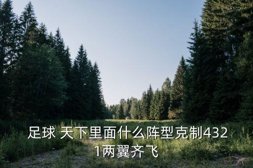  足球 天下里面什么陣型克制4321兩翼齊飛