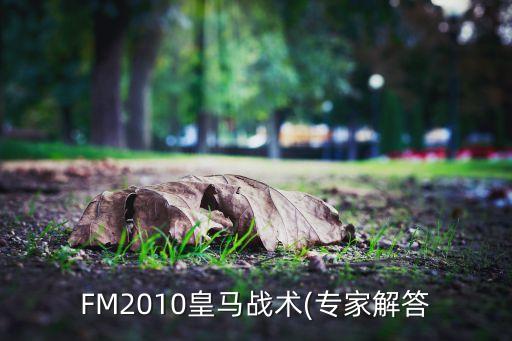 FM2010皇馬戰(zhàn)術(shù)(專(zhuān)家解答