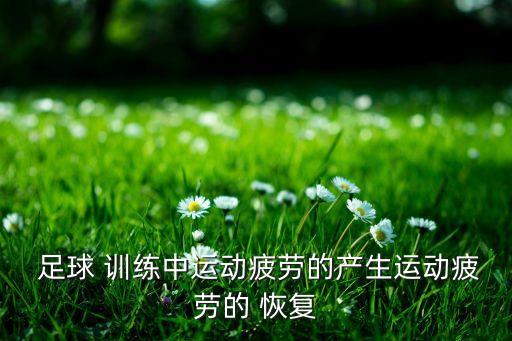  足球 訓(xùn)練中運(yùn)動(dòng)疲勞的產(chǎn)生運(yùn)動(dòng)疲勞的 恢復(fù)