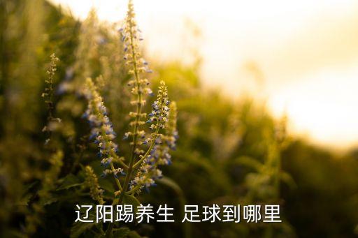 遼陽踢養(yǎng)生 足球到哪里