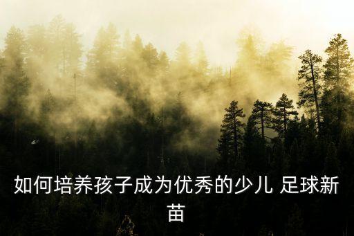 如何培養(yǎng)孩子成為優(yōu)秀的少兒 足球新苗