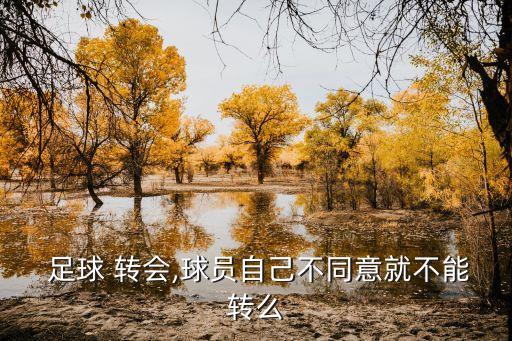  足球 轉(zhuǎn)會(huì),球員自己不同意就不能轉(zhuǎn)么