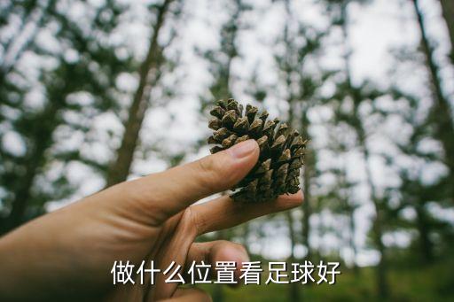 足球場哪個(gè)座位最好,成都鳳凰山專業(yè)足球場座位