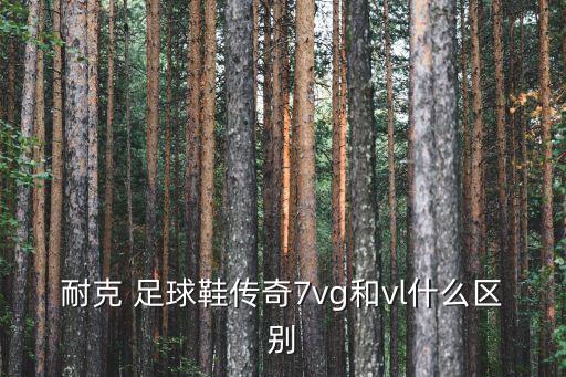 耐克 足球鞋傳奇7vg和vl什么區(qū)別