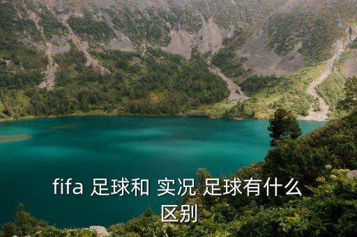 fifa 足球和 實(shí)況 足球有什么區(qū)別