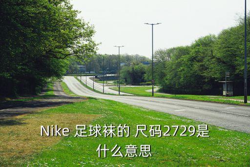 Nike 足球襪的 尺碼2729是什么意思