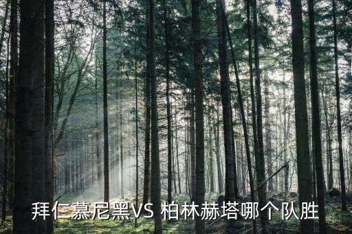 拜仁慕尼黑VS 柏林赫塔哪個隊勝